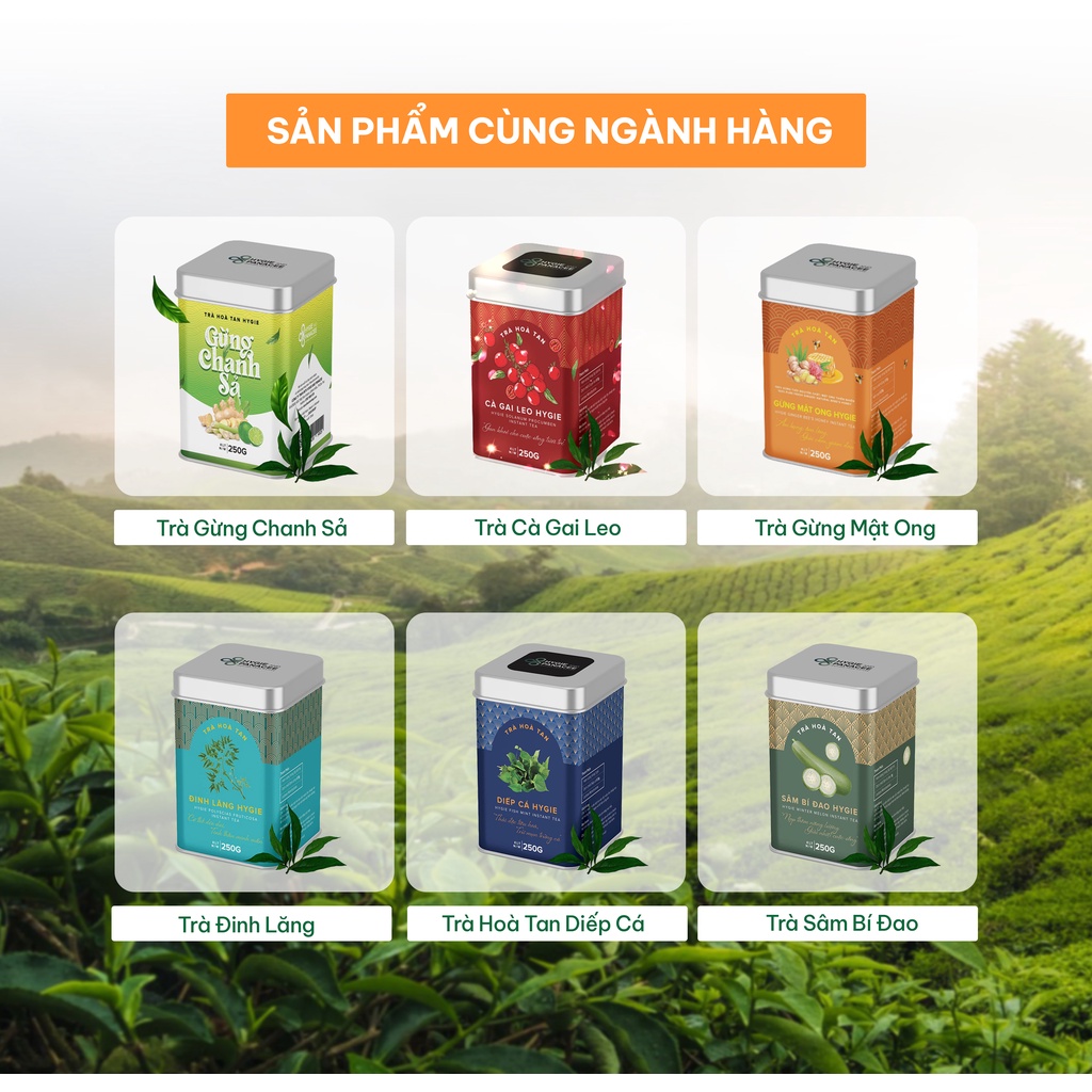 Trà Hoa Cúc Hygie&Panacee 50g/250g thanh nhiệt, thư giãn tinh thần