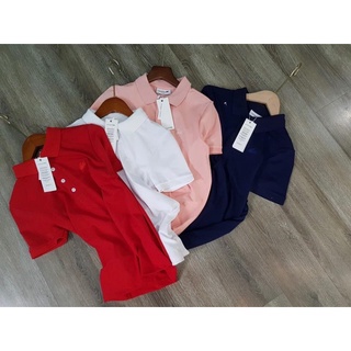 Áo polo dư xịn