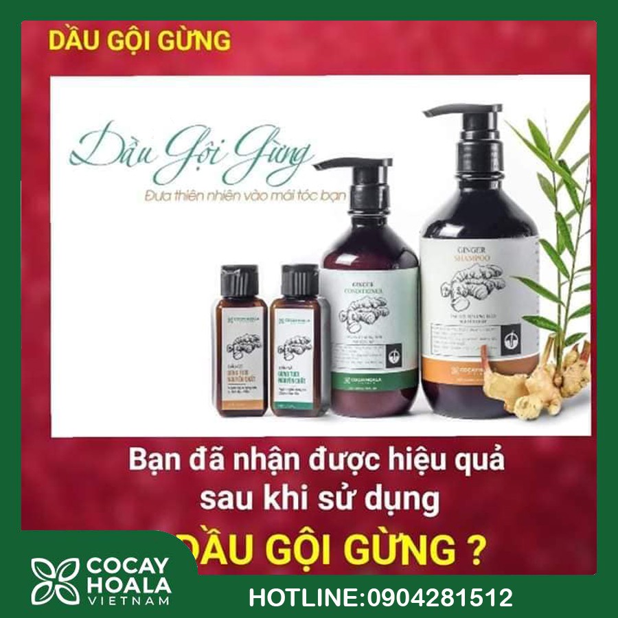 tt611 Bộ Dầu Gội Gừng _ Xả ❤️FREESHIP❤️Chiết Xuất Gừng Tươi An Toàn Cho Mẹ Sau Sinh Cocayhoala 500 ml