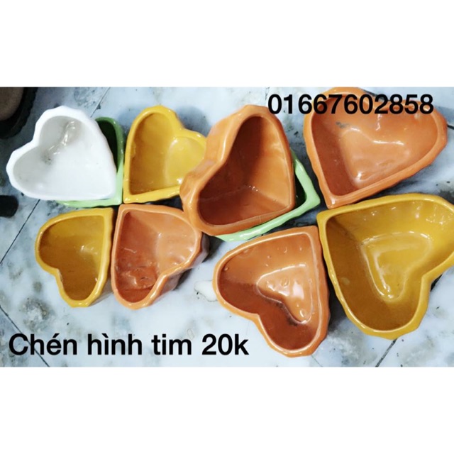 chén sứ ăn cho hamter
