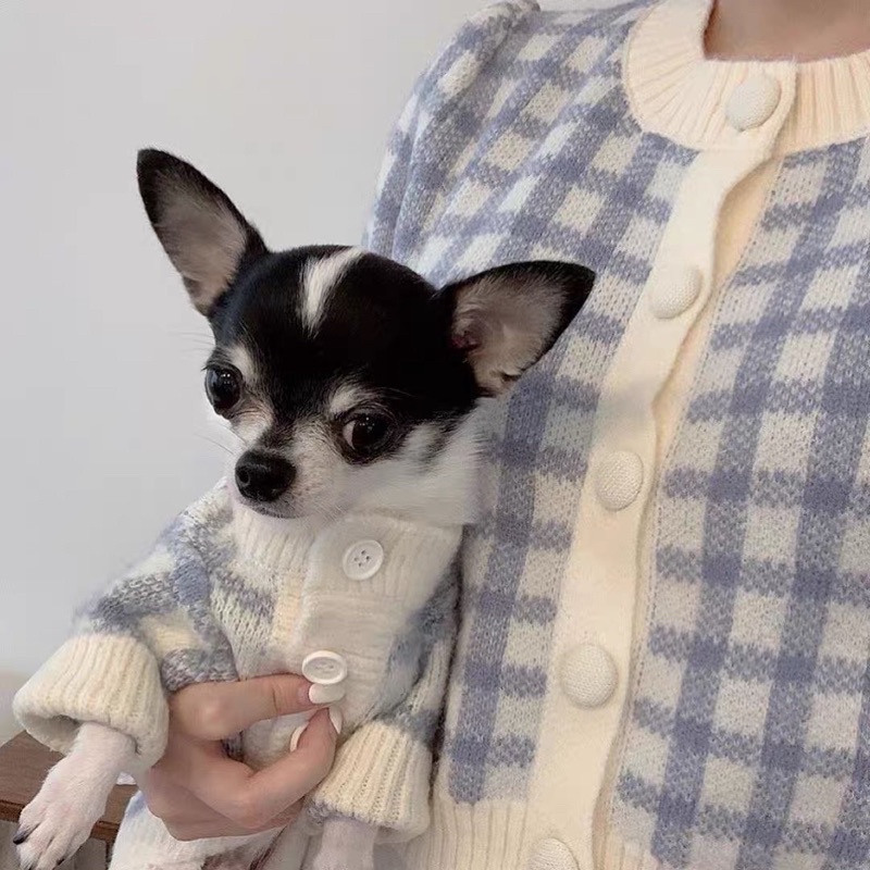 ÁO CUTE PHÔ MAI QUE CHO BOSS
