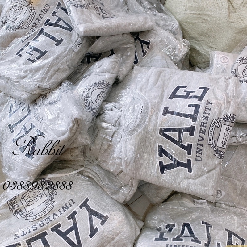 Bộ nỉ Primark Yale