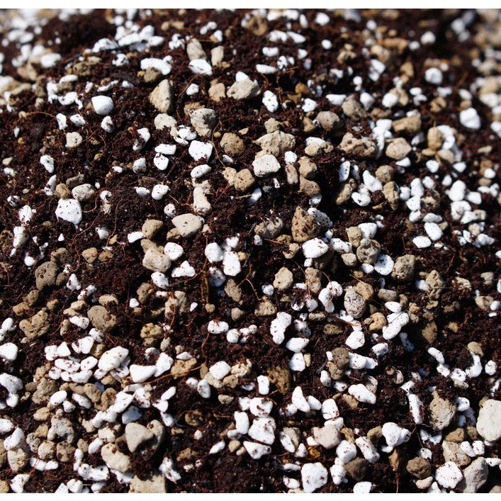 [3kg] Đất trồng sen đá, xương rồng GLASS GARDEN, chuẩn xứ nóng, Thoát nước tốt, Đầy đủ dinh dưỡng