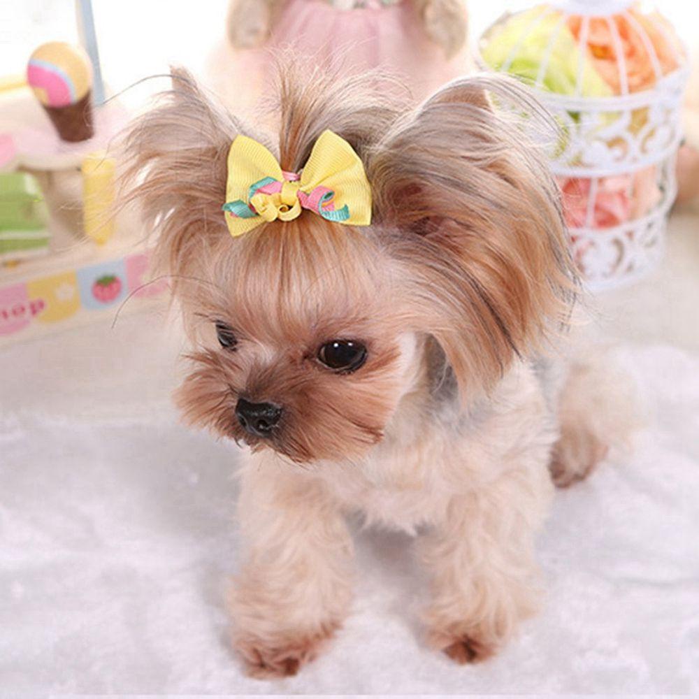 GIOVANNI Kẹp Nơ Nhiều Màu Hóa Trang Cho Thú Cưng