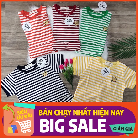 Bộ Ngắn Tay Mùa Hè Cho Bé Trai/ Gái - Chất Thun Lạnh Cực Mát