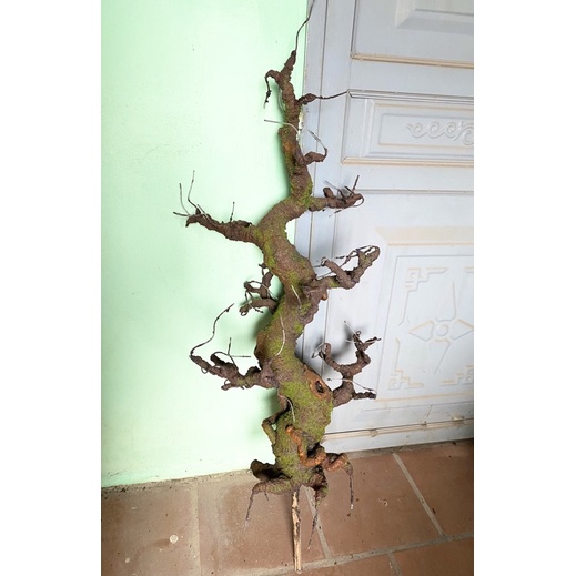 Gốc bonsai, thân cây giả dáng Trực 70-80-90cm làm hoa mai đào Handmade