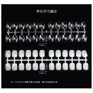 Móng Mẫu Tập Vẽ, Tập Sơn Móng Nail