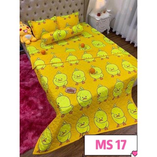 Sét 5 Món Chăn Hè Ga Gối,m6,m8 Nhiều Mẫu Lựa Chọn