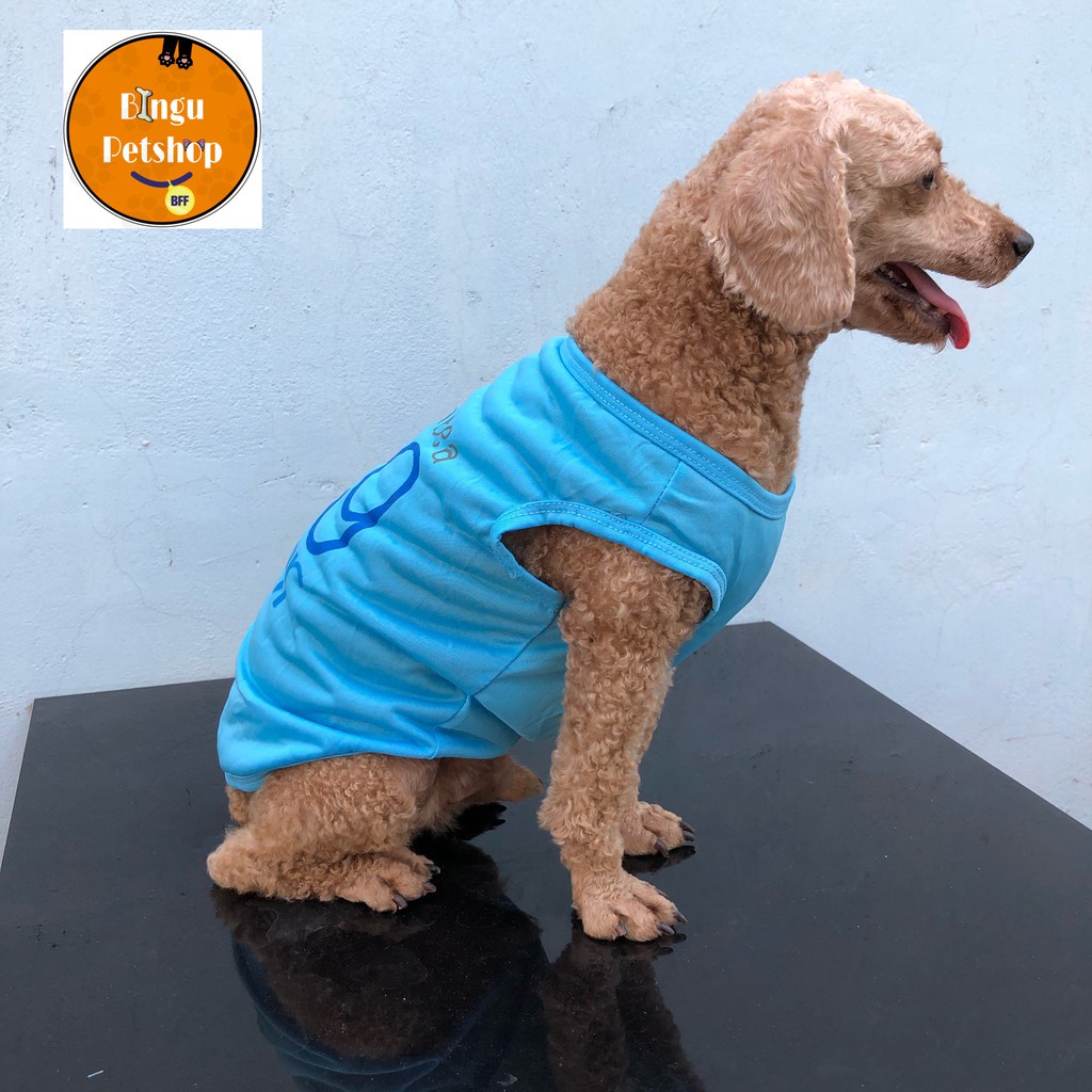 (Hình tự chụp) Áo sát nách in chư dễ thương cho thú cưng