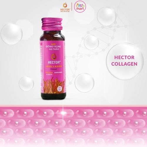 (+ Tặng Quà) Nước Đông Trùng Hạ Thảo Hector Collagen Hộp 10 Chai Hector Cordyceps Collagen