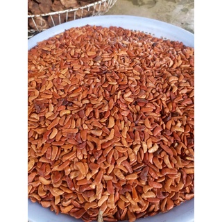 Hạt giống cây giáng hương (đinh hương)