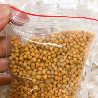 Phân tan chậm nhập khẩu Thái Lan 14-14-14 (hạt vàng) 200gram