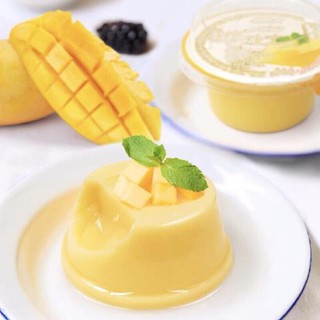 Bột tàu hũ vị sầu 100gr