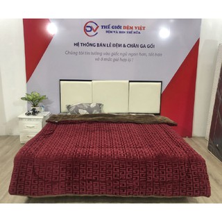 Chăn cừu Pháp Elizabeth Xuất Khẩu V1