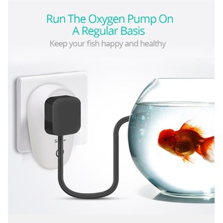 Phích cắm WiFi thông minh Sonoff S26