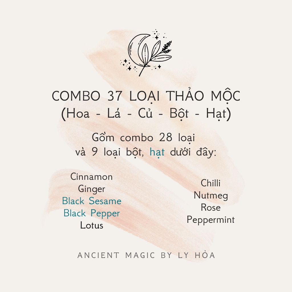 COMBO 37 LOẠI THẢO MỘC làm Spell, thực hành Witchcraft, trang trí nến thơm,... | Ancient Magic by Ly Hỏa