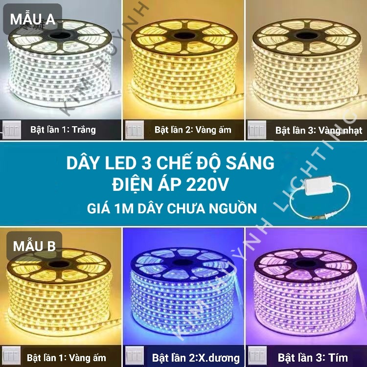 Dây Đèn Led 3 Chế Độ Sáng Điện Áp 220V Chip 5730 2 Hàng Led Trang Trí Hắt Trần, Quấn Cây, Tủ Kệ