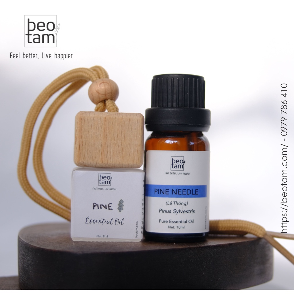 Tinh dầu Thông Bèo Tấm - Pine Essential Oil Nguyên chất nâng cao tâm trạng, cân bằng cảm xúc, kích thích các giác quan
