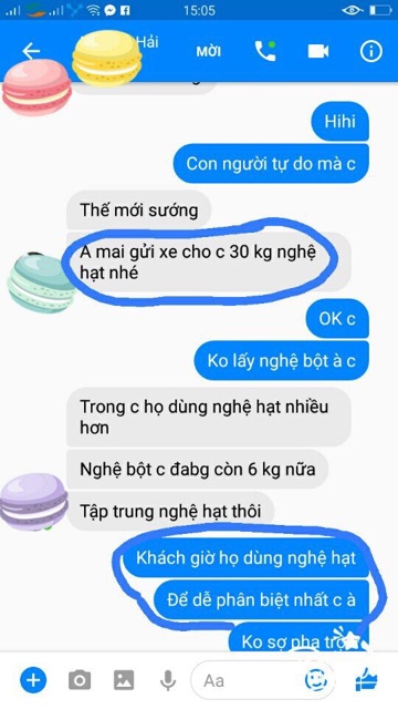 TINH NGHỆ HẠT NGHỆ AN