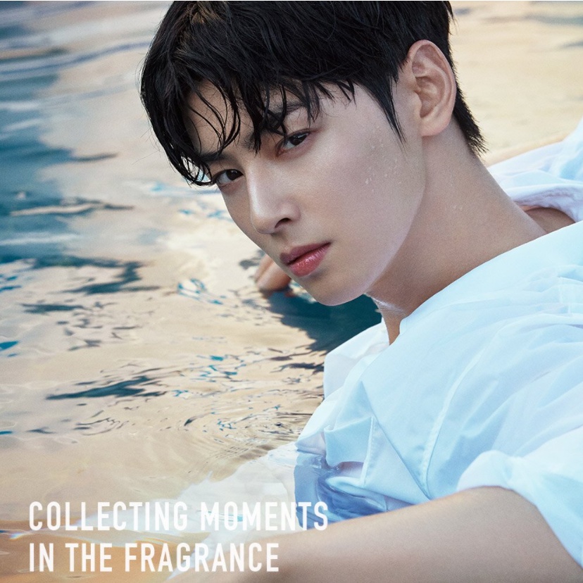 Nước Hoa Cao Cấp Cha Eun Woo Pick DASHU 50ml 3 Loại