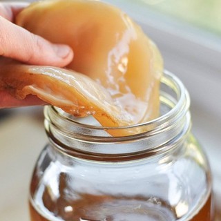 Scoby - nấm thủy sâm, làm dấm trà Kombucha