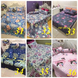 Bộ ga gối cotton poly