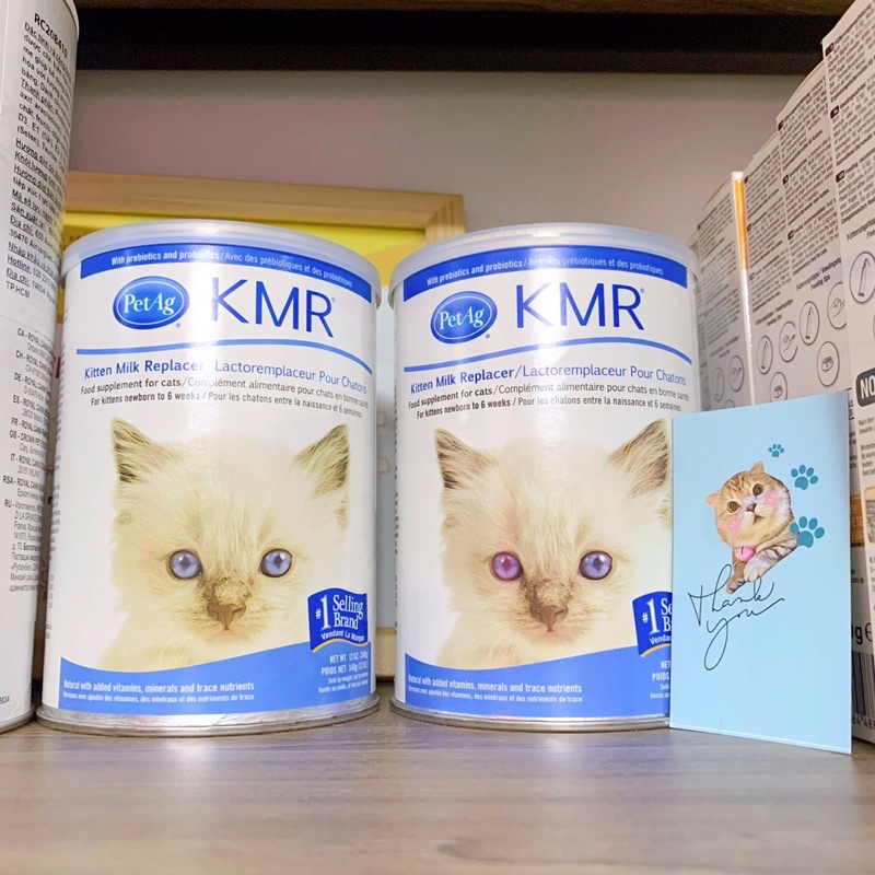 Sữa KMR cho mèo con - Sữa KMR bổ sung dinh dưỡng mèo bầu