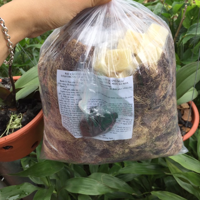 1KG RONG BIỂN RAU CÂU CHỈ VÀNG LOẠI 1 SẠCH KHÔNG TẨY QUẢNG NGÃI NẤU XU XOA | BigBuy360 - bigbuy360.vn