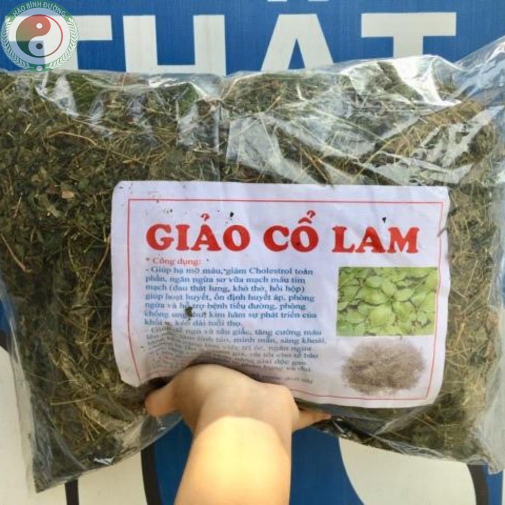 [Combo 3kg] Trà Giảo Cổ Lam 5 Lá Hòa Bình Giúp Cải Thiện Gan Nhiễm Mỡ - Bảo Vệ Gan