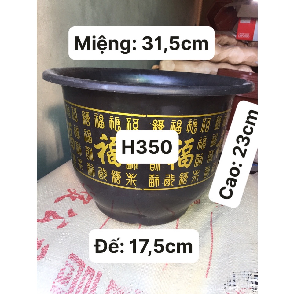 10 CHẬU NHỰA TRỒNG HOA MẪU CHỮ PHÚC #H350 ( BẦU KHAY TÚI ƯƠM CÂY GIỐNG, DỊCH TRUYỀN CỨU CÂY...)