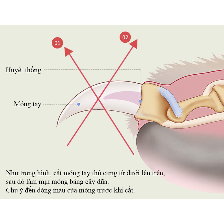 Kiềm cắt móng