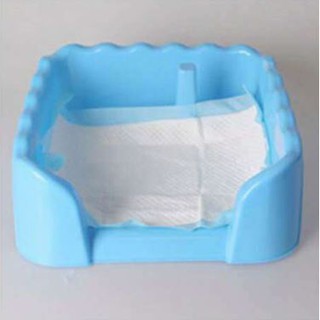 Tấm lót vệ sinh cho chó