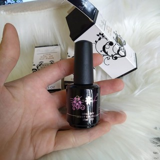 Base-Top Nối Móng AML