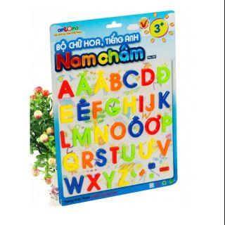 Bộ chữ cái nam châm chữ hoa Antona