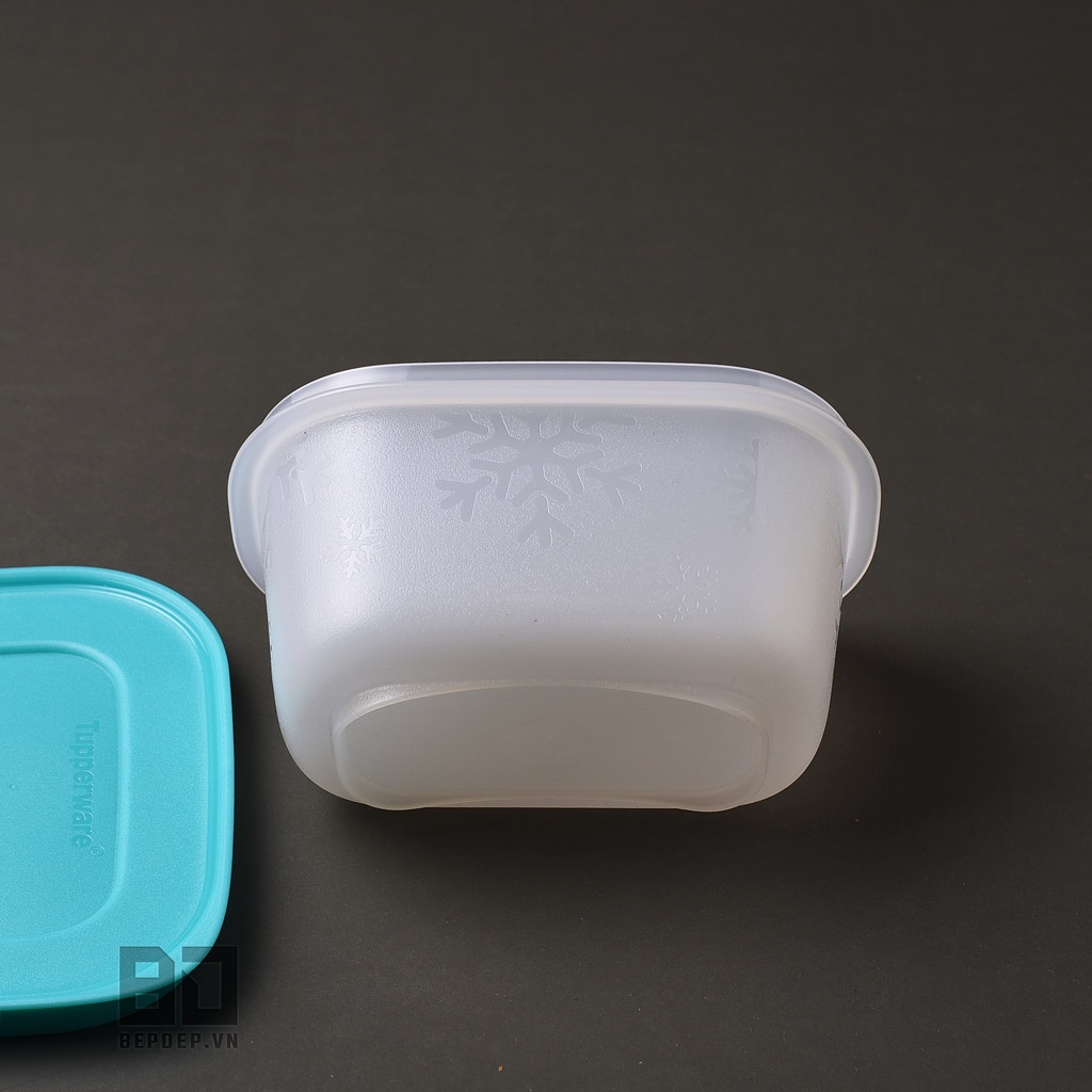 Bộ hộp trữ đông Tupperware Mini Freezermate Gen II 170ml - Bộ hộp nhựa an toàn cho bảo quản thực phẩm