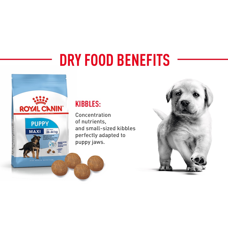 Hạt Royal Canin Maxi Puppy Cho Chó Con Giống Lớn Túi 4kg/1kg