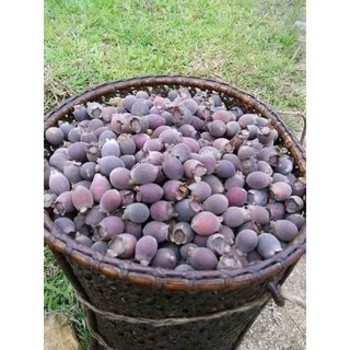 Sim rừng khô ngâm rựu