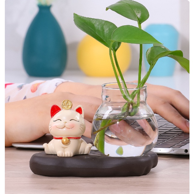 Mèo may mắn- lọ thủy tinh trồng cây thủy sinh, mang lại năng lượng tích cực.