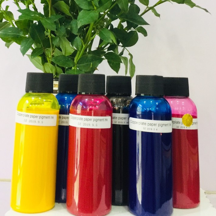 Mực in ️🎨 Pigment UV lọ 100ml ( mực dầu)