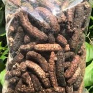 Chuối hột rừng khô 1 kí