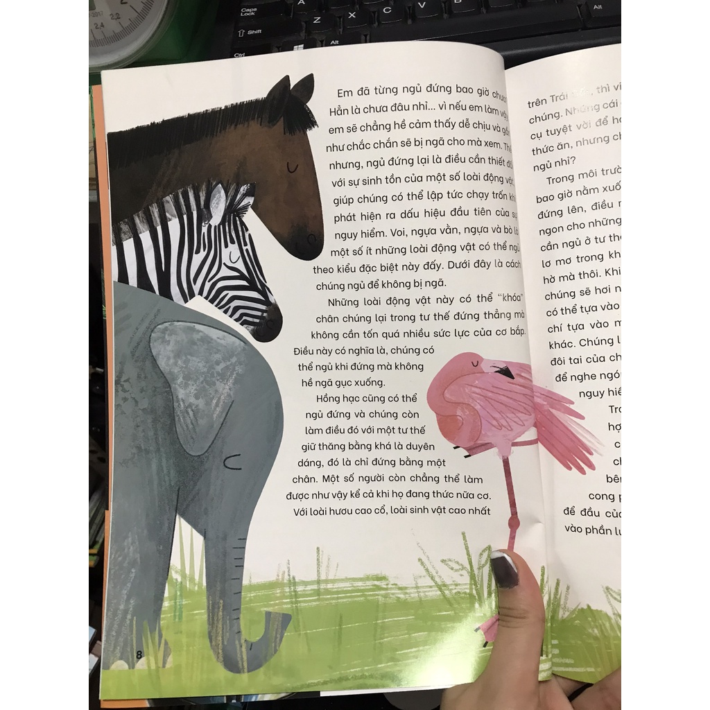 Sách - Những bí ẩn của màn đêm : Những loài vật đáng kinh ngạc