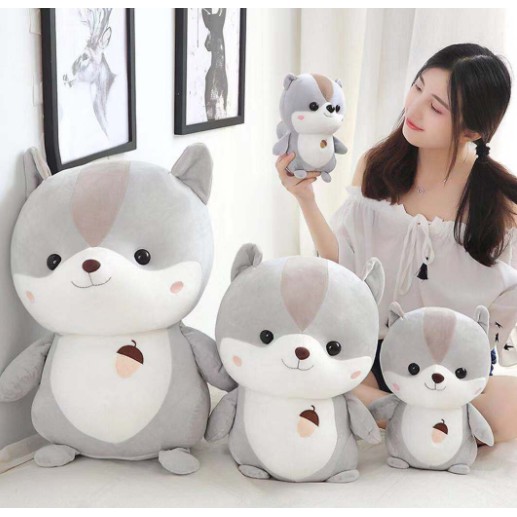 hamster bông sóc chuột cầm hạt G25B22 cute dễ thương 25cm