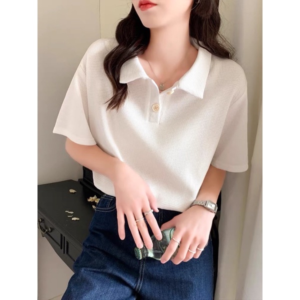 Áo polo nữ bigsize 87 kg _ Áo nữ cổ bẻ chất cotton tổ ong co giãn phong cách Hàn Quốc APL
