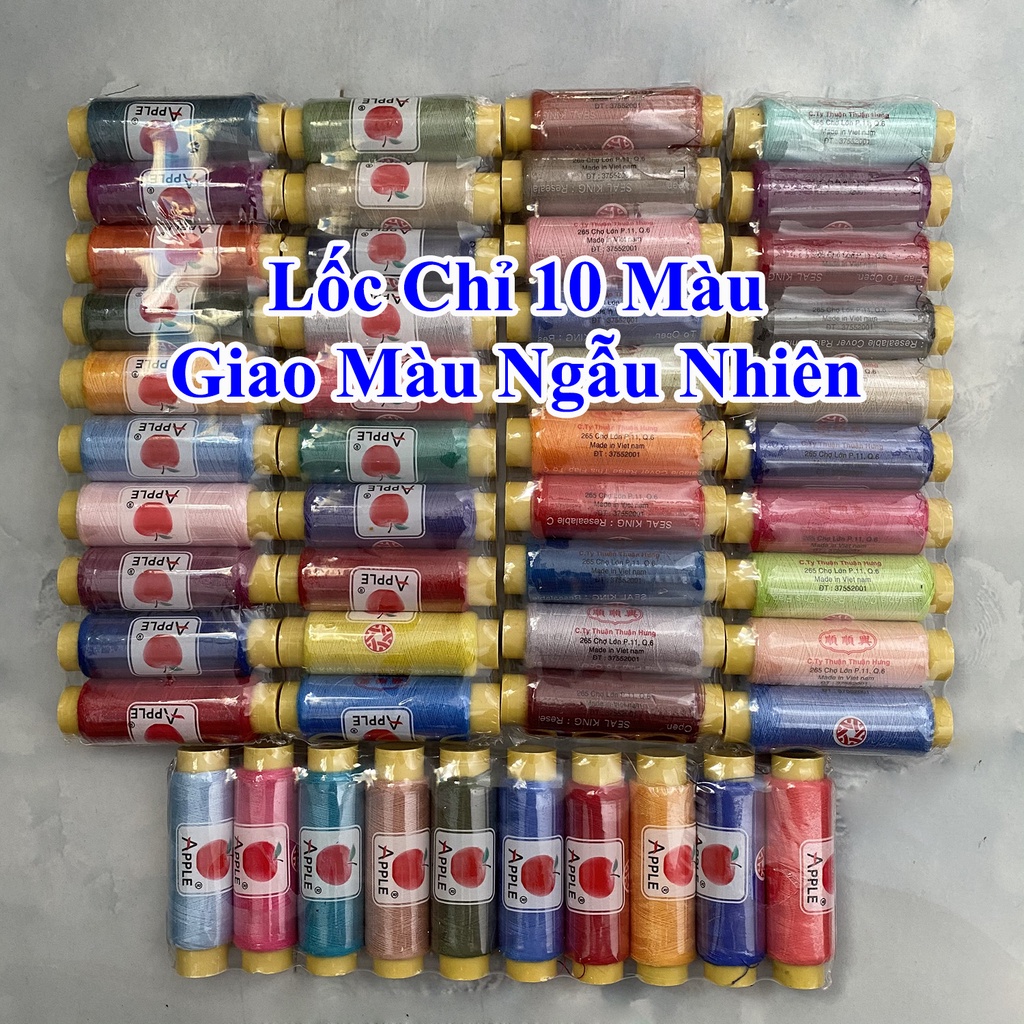 Lốc chỉ 10 màu (giao màu ngẫu nhiên)