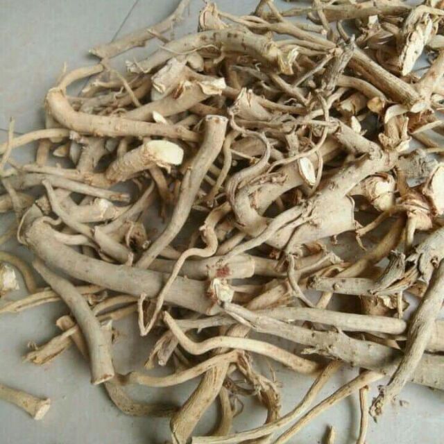 Rễ Đinh Lăng Nếp Khô 1kg