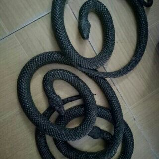 Đồ chơi Rắn giả bằng su 65cm