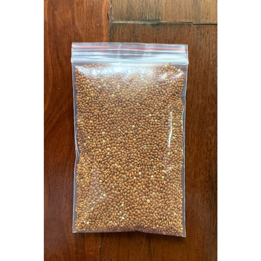 Hạt kê cho Hamster