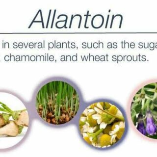 Allatoin tái tạo da 20g