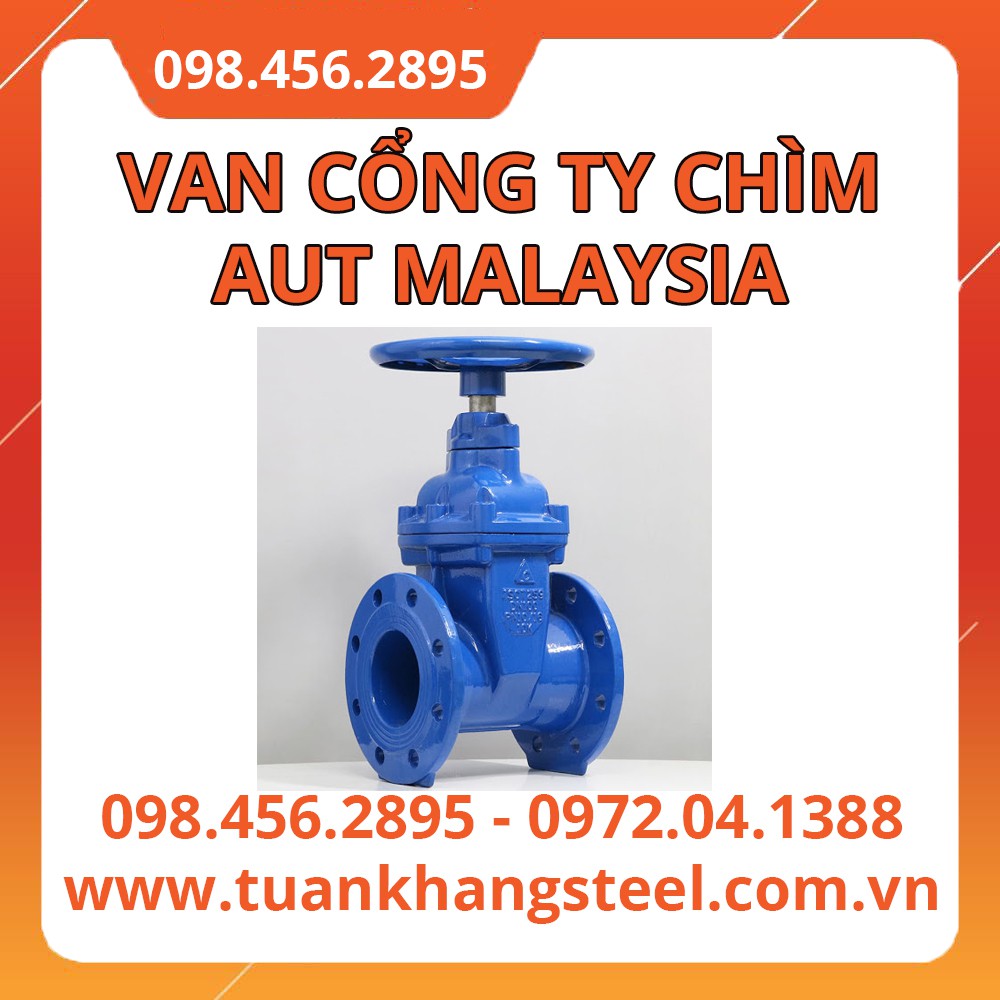 VAN CỔNG TY CHÌM AUT AUT MALAYSIA DN50-DN300
