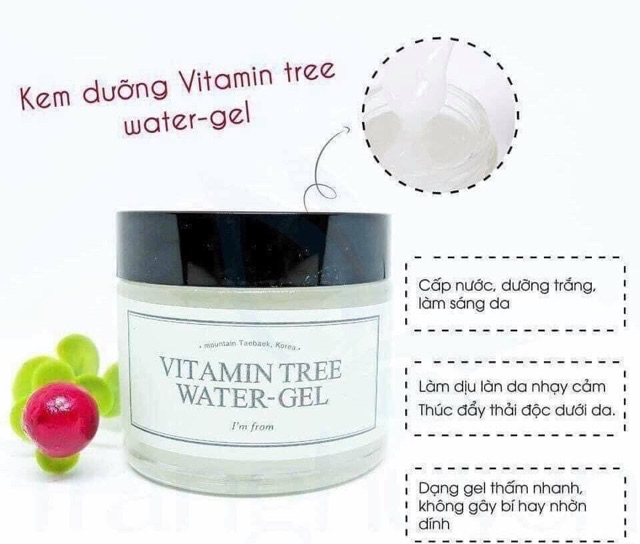 Kem dưỡng da thải độc Vitamin Tree Water Gel